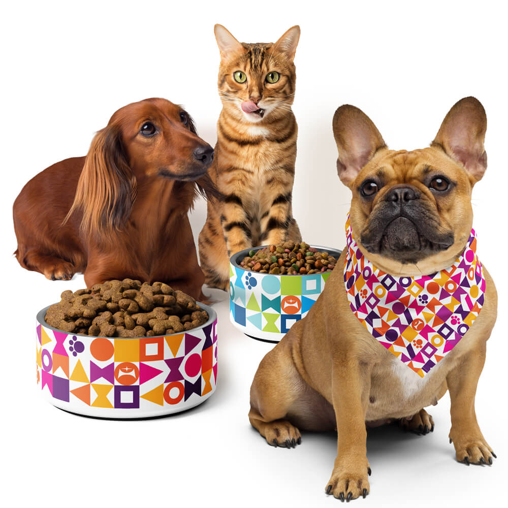 Mid century modern pet products bowl and bandana