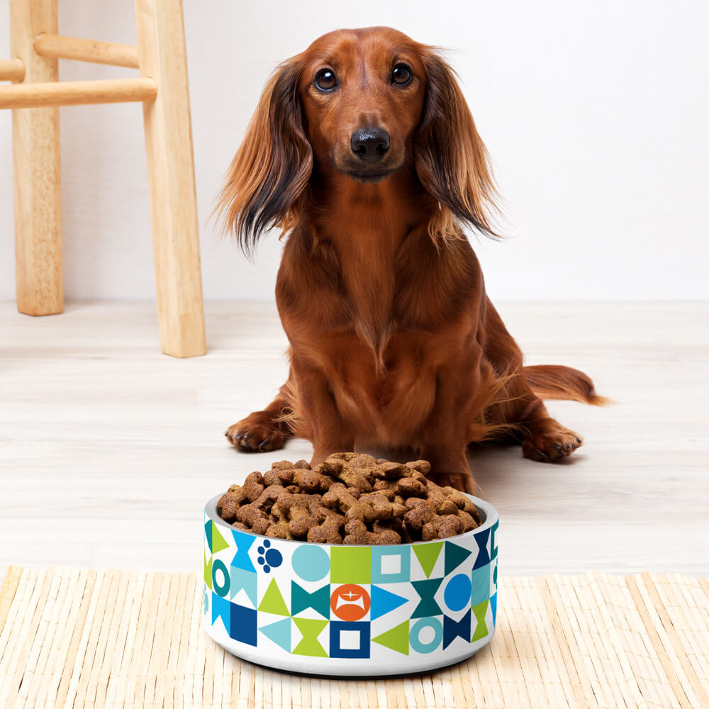 Mid Century Modern Blue Aqua Pawzl Pet Bowl 32oz with a Wiener Spaniel