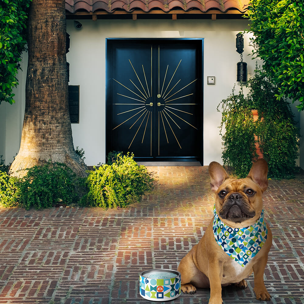 Mid Century Modern Blue Pawzl Pet Bandana on a toy bulldog in front of a house with a pet bowl